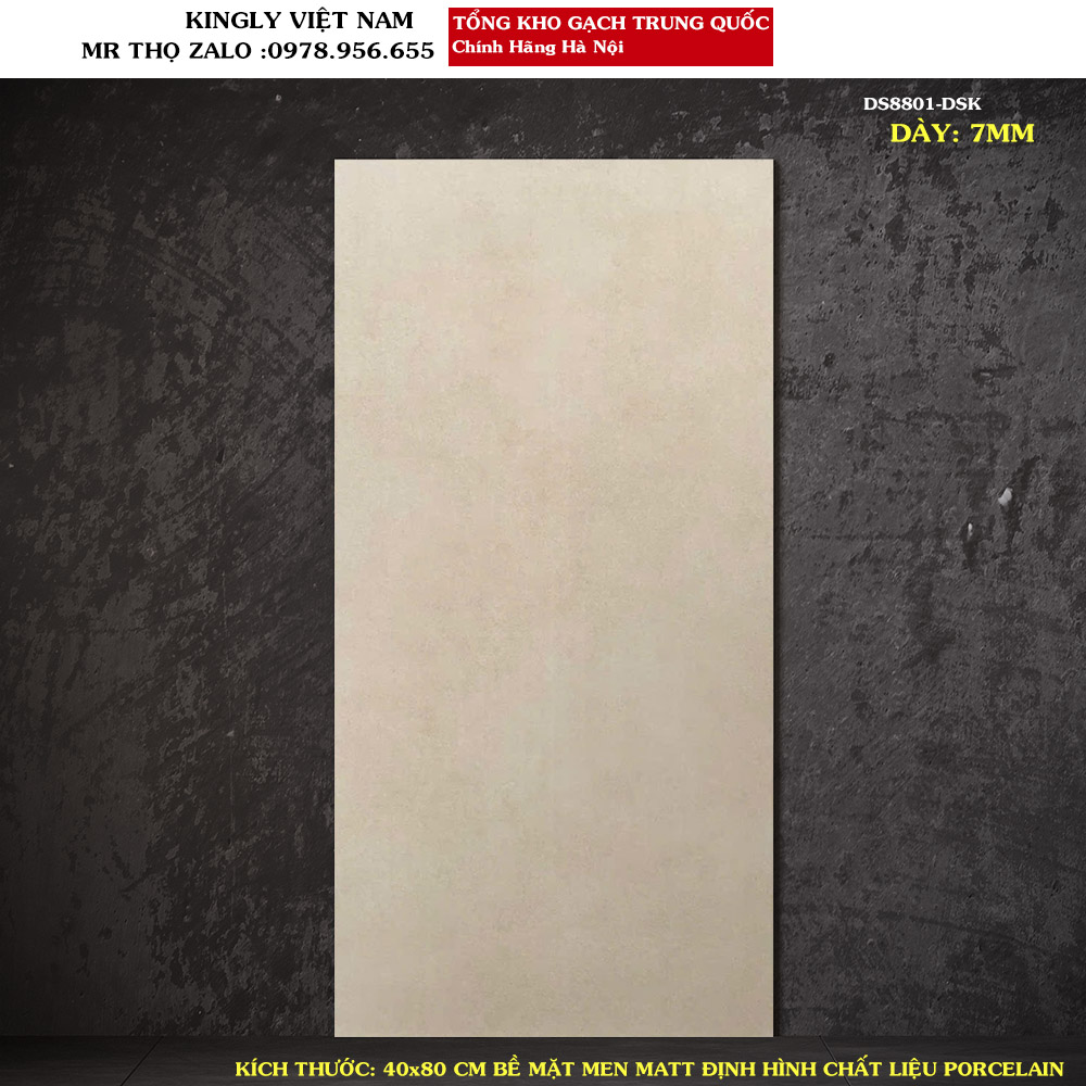 Gạch ốp tường 40x80 Trung Quốc DS8801